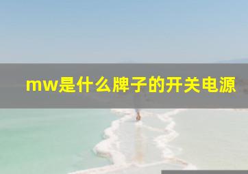 mw是什么牌子的开关电源