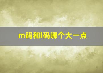 m码和l码哪个大一点