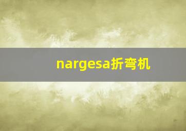 nargesa折弯机