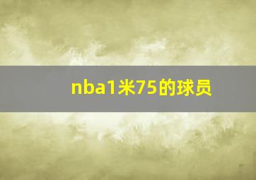 nba1米75的球员