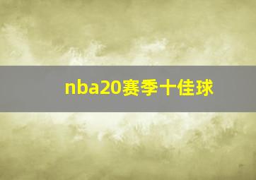 nba20赛季十佳球