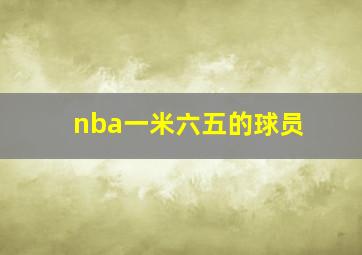 nba一米六五的球员