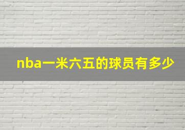 nba一米六五的球员有多少