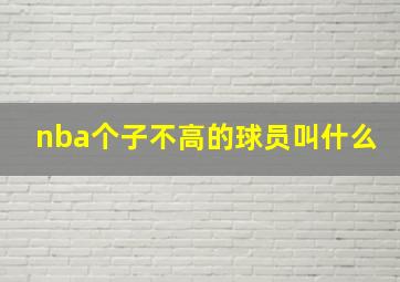 nba个子不高的球员叫什么