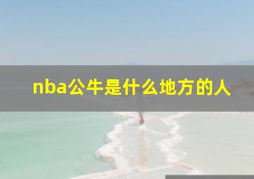 nba公牛是什么地方的人