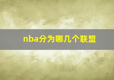 nba分为哪几个联盟