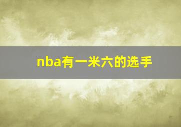 nba有一米六的选手