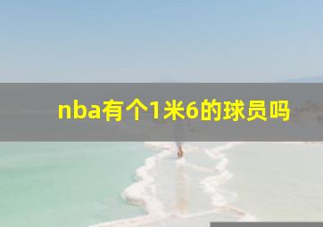 nba有个1米6的球员吗