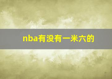 nba有没有一米六的