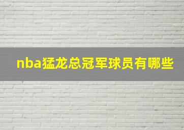 nba猛龙总冠军球员有哪些