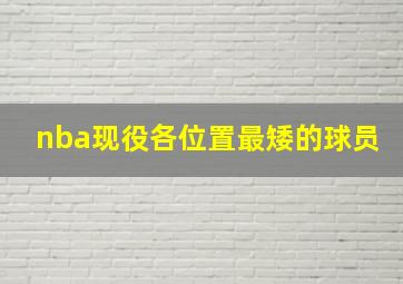 nba现役各位置最矮的球员