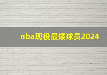 nba现役最矮球员2024