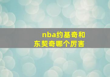 nba约基奇和东契奇哪个厉害