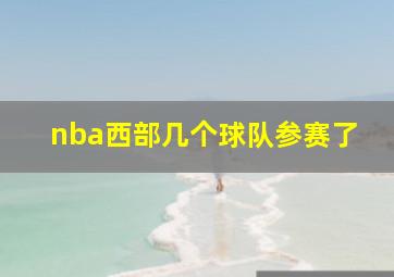 nba西部几个球队参赛了