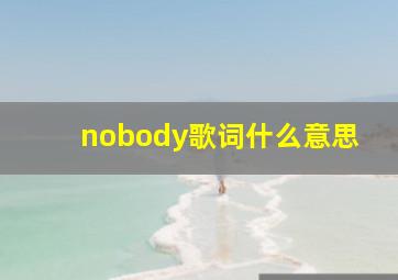 nobody歌词什么意思