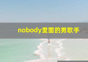 nobody里面的男歌手