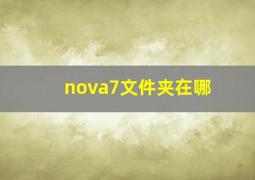 nova7文件夹在哪