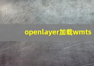 openlayer加载wmts