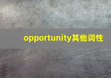 opportunity其他词性