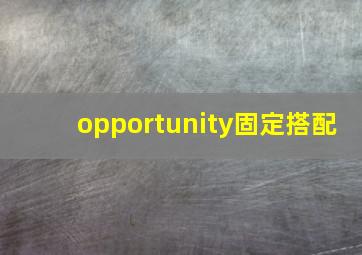 opportunity固定搭配