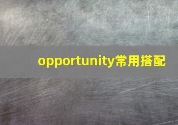 opportunity常用搭配