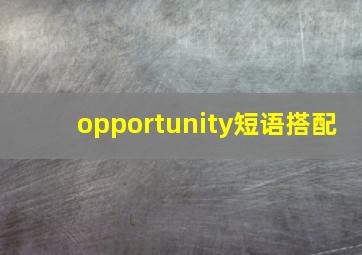 opportunity短语搭配