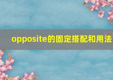 opposite的固定搭配和用法