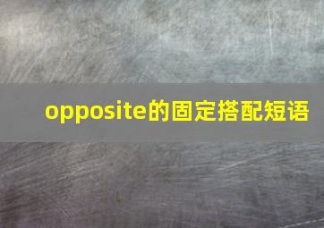 opposite的固定搭配短语