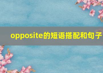 opposite的短语搭配和句子