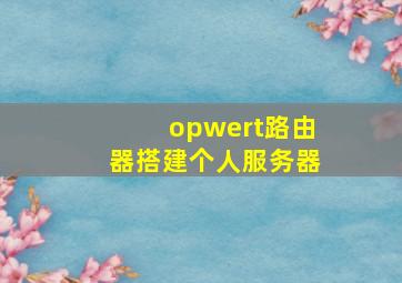 opwert路由器搭建个人服务器