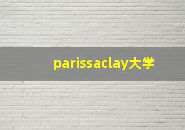 parissaclay大学