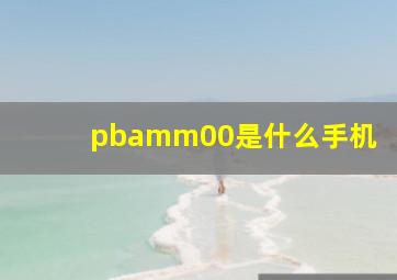 pbamm00是什么手机