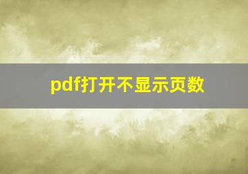 pdf打开不显示页数