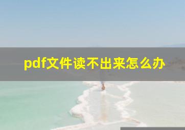 pdf文件读不出来怎么办