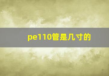 pe110管是几寸的