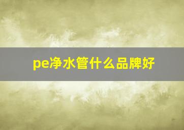 pe净水管什么品牌好