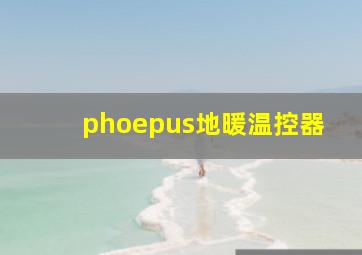 phoepus地暖温控器