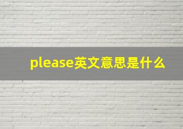 please英文意思是什么