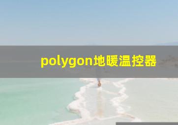 polygon地暖温控器