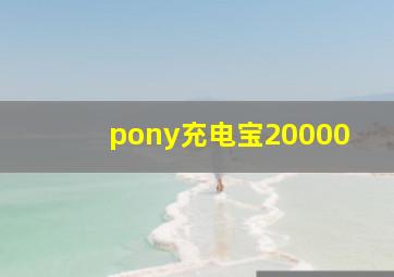 pony充电宝20000