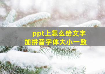 ppt上怎么给文字加拼音字体大小一致