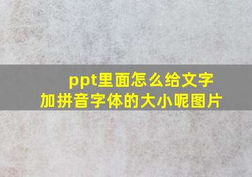 ppt里面怎么给文字加拼音字体的大小呢图片