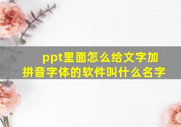 ppt里面怎么给文字加拼音字体的软件叫什么名字