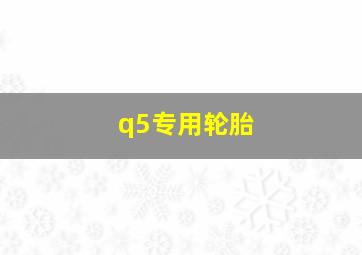 q5专用轮胎