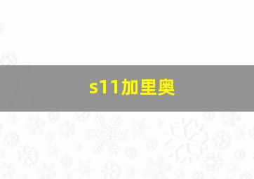 s11加里奥