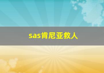 sas肯尼亚救人