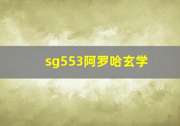 sg553阿罗哈玄学