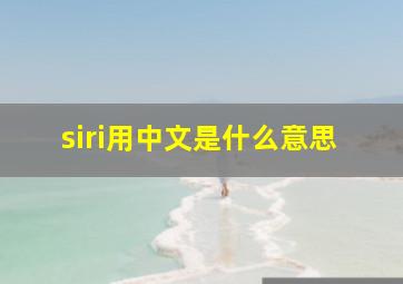 siri用中文是什么意思