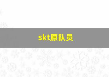 skt原队员