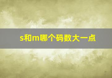 s和m哪个码数大一点